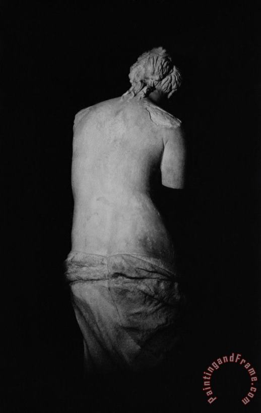 Venus de Milo painting - Greek School Venus de Milo Art Print