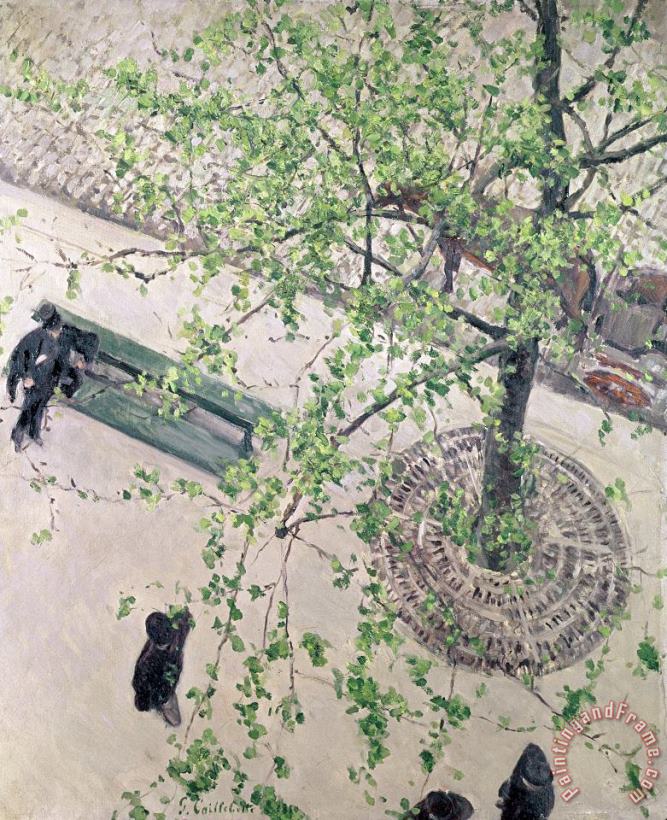 Gustave Caillebotte The Boulevard Viewed From Above Art Painting