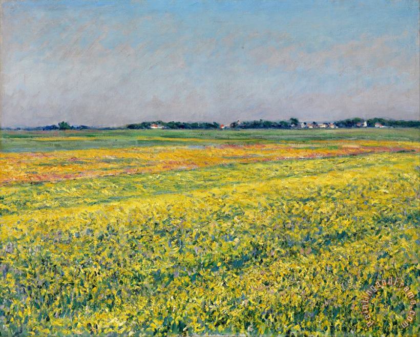 The Plain of Gennevilliers, Yellow Fields painting - Gustave Caillebotte The Plain of Gennevilliers, Yellow Fields Art Print