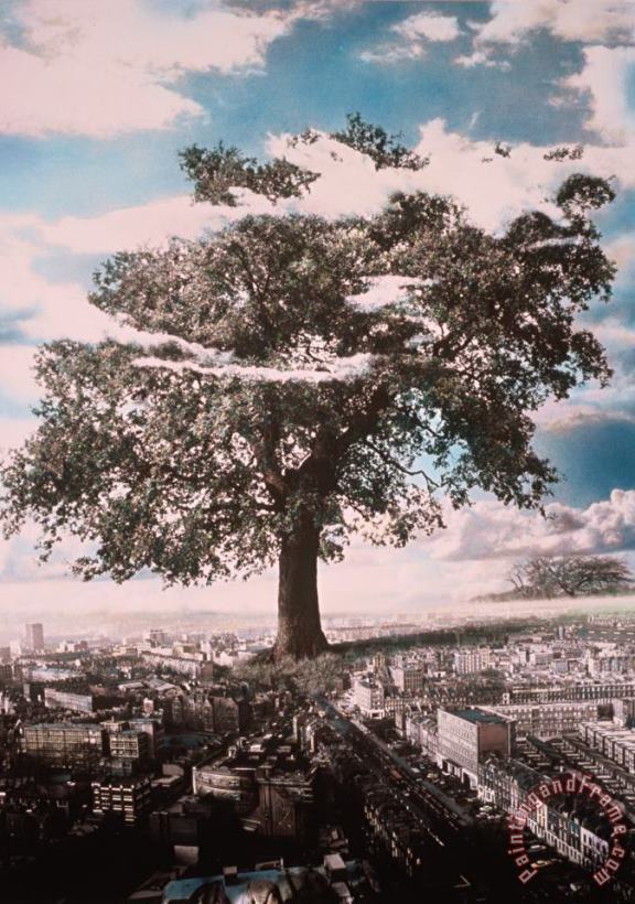 Giant Tree in City painting - Hag Giant Tree in City Art Print