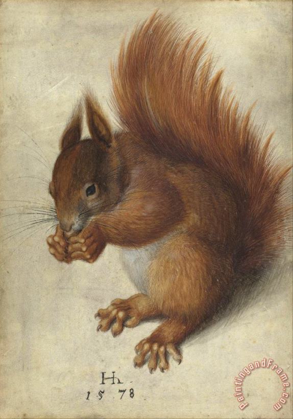 Hans Hoffmann Red Squirrel Art Print
