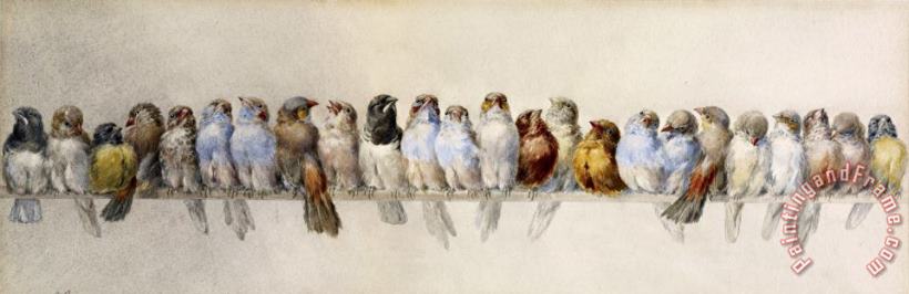 A Perch of Birds painting - Hector Giacomelli A Perch of Birds Art Print
