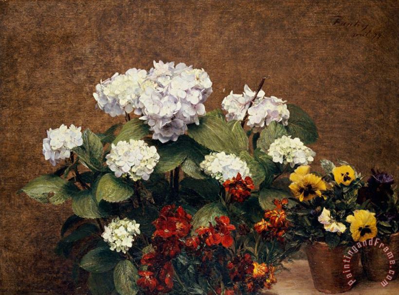 Henri Jean Fantin-Latour Hydrangeas and Wallflowers and Two Pots of Pansies Art Print