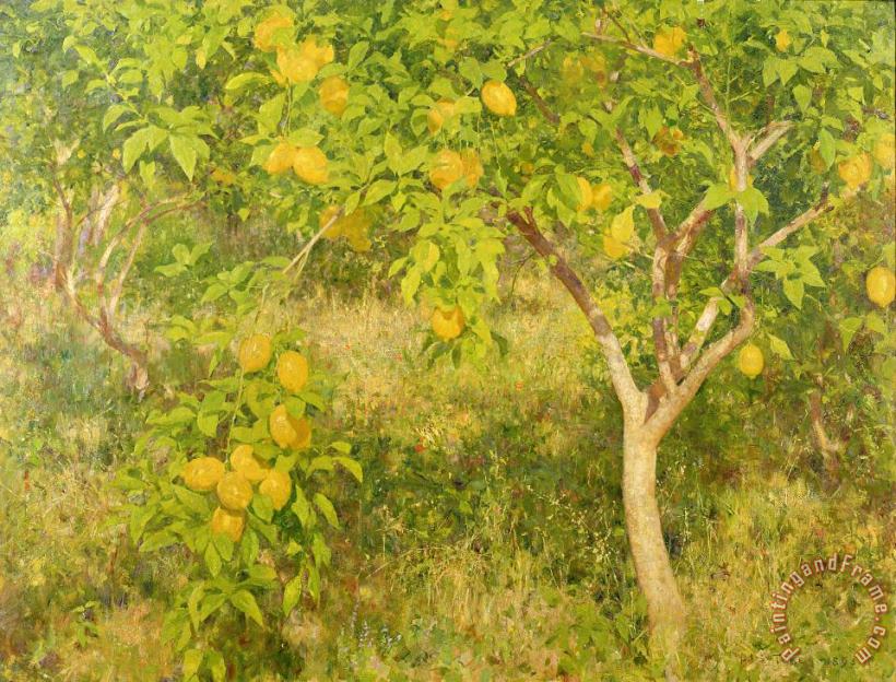 Henry Scott Tuke The Lemon Tree Art Painting