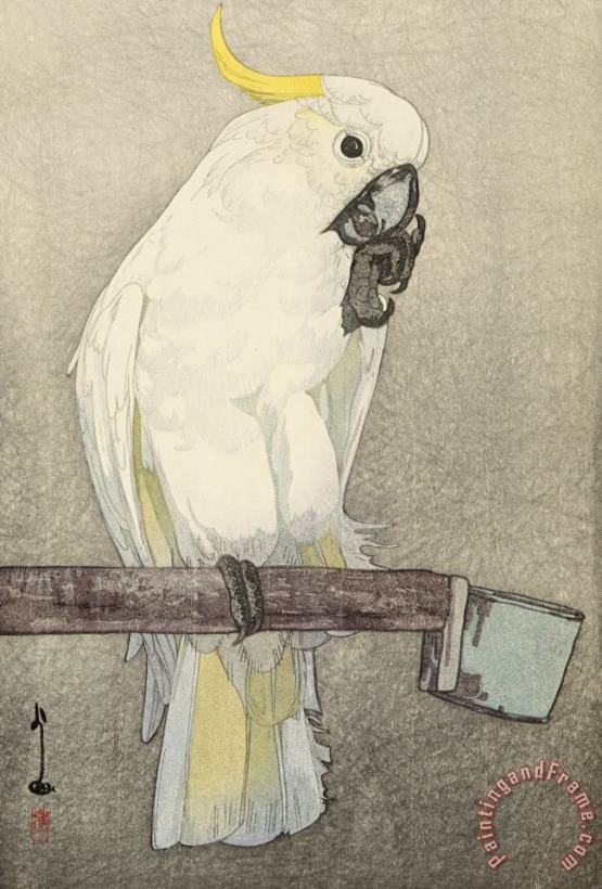 Hiroshi Yoshida Kibatan Parrot (dobutsu En, Kibatan Omu), From The Zoological Garden Series Art Print