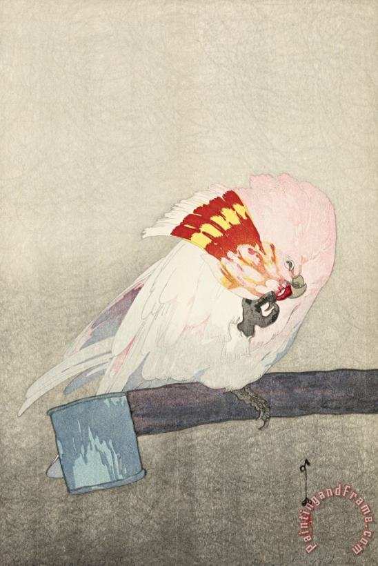 Kurumasaka Parrot (dobutsu En, Kurumasaka Omu), From The Zoological Garden Series painting - Hiroshi Yoshida Kurumasaka Parrot (dobutsu En, Kurumasaka Omu), From The Zoological Garden Series Art Print