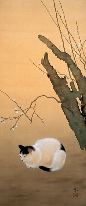 Hishida Shunso Cat And Plum Blossoms Art Print