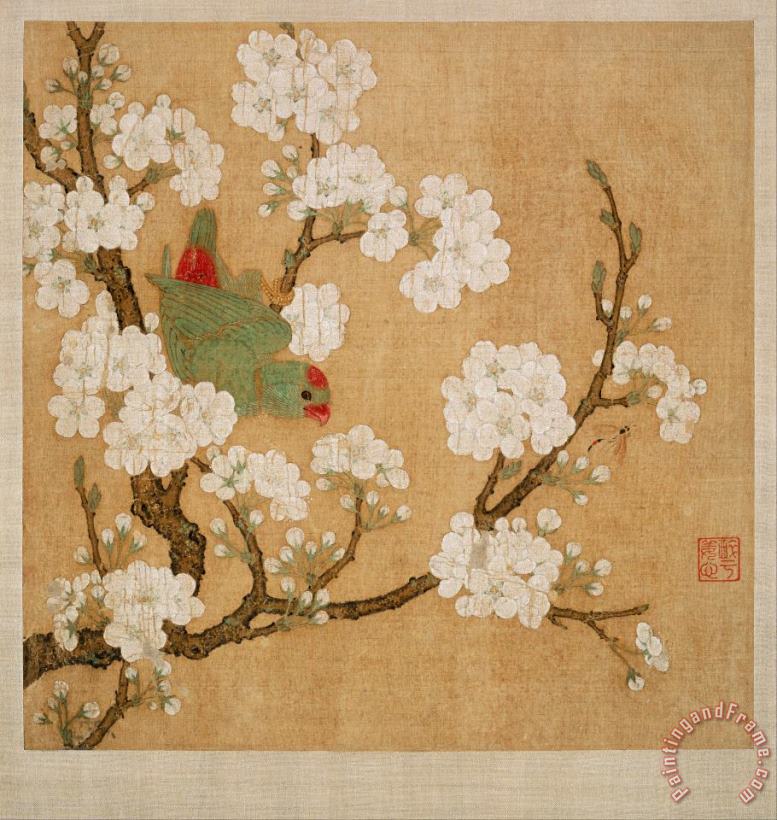 Parrot And Insect Among Pear Blossoms painting - Huang Jucai Parrot And Insect Among Pear Blossoms Art Print