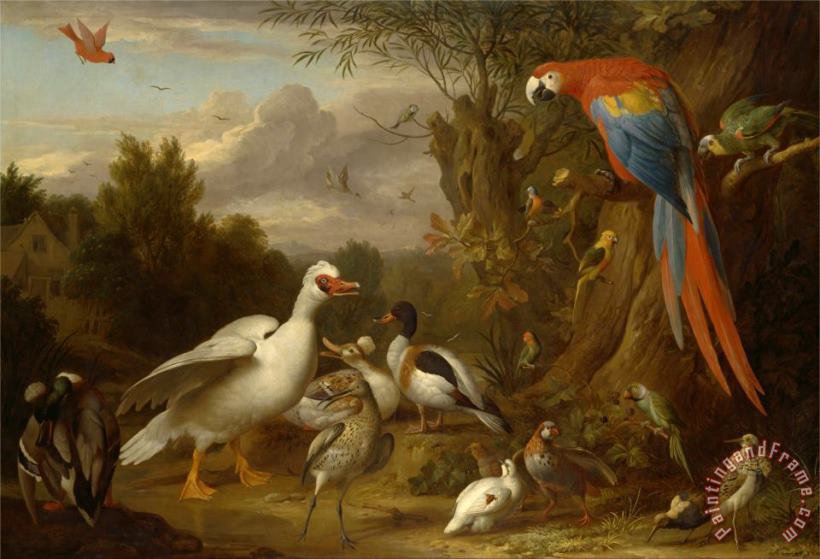 A Macaw, Ducks, Parrots And Other Birds in a Landscape painting - Jacob Bogdani A Macaw, Ducks, Parrots And Other Birds in a Landscape Art Print