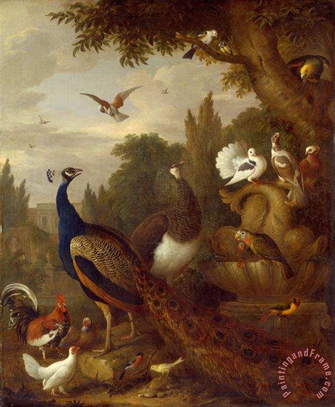 Jacob Bogdani Peacock, Peahen, Parrots, Canary, And Other Birds in a Park Art Print
