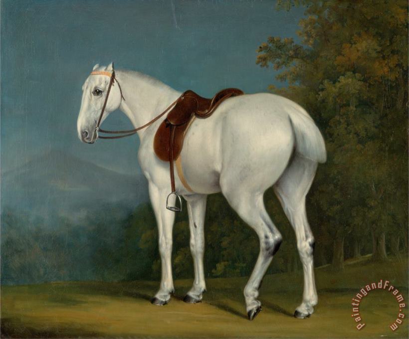 Jacques-Laurent Agasse A Lady's Grey Hunter Art Painting