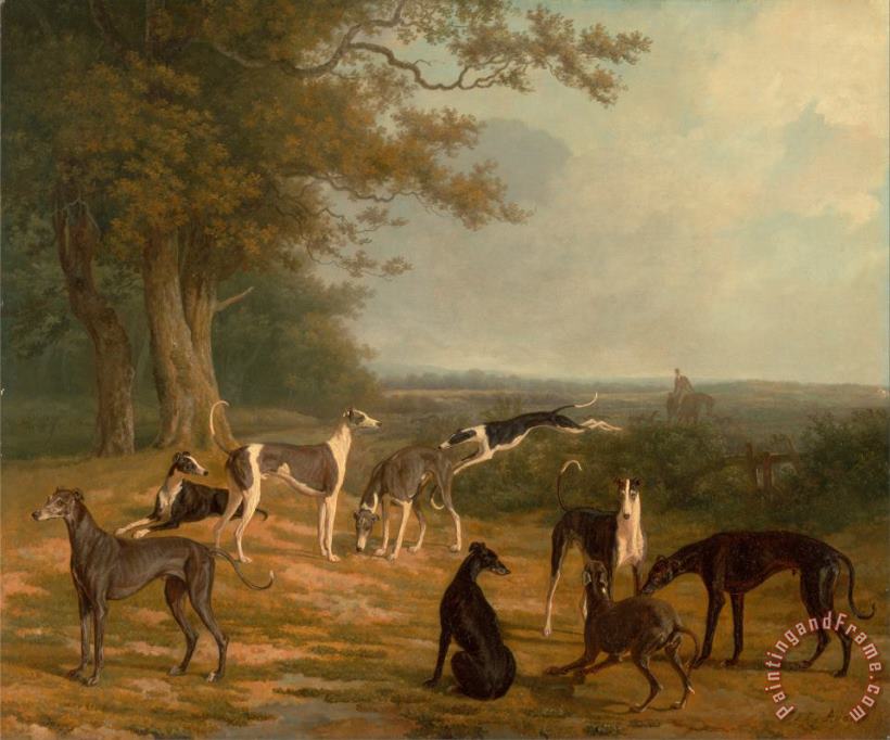 Jacques-Laurent Agasse Nine Greyhounds in a Landscape Art Painting