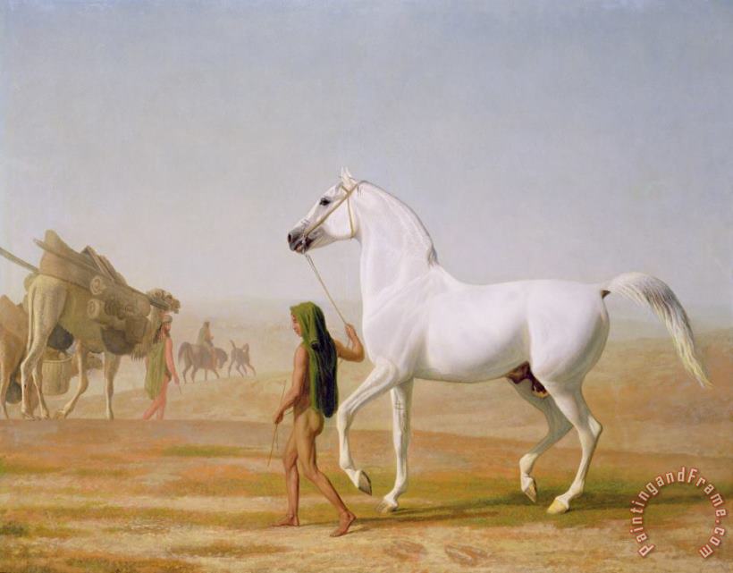 The Wellesley Grey Arabian led through the Desert painting - Jacques-Laurent Agasse The Wellesley Grey Arabian led through the Desert Art Print