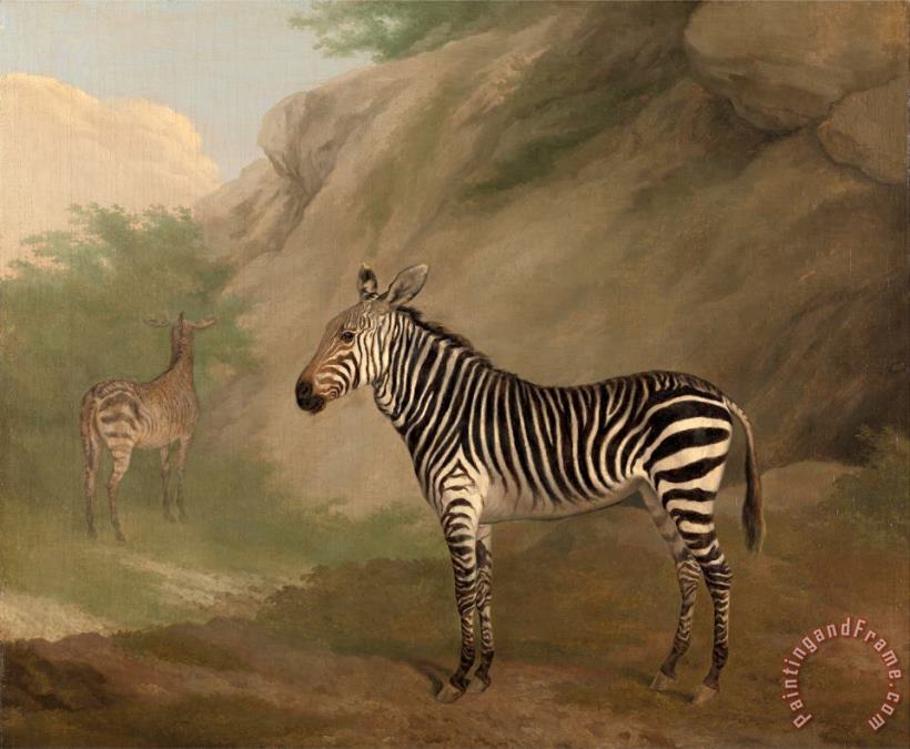 Jacques-Laurent Agasse Zebra Art Painting