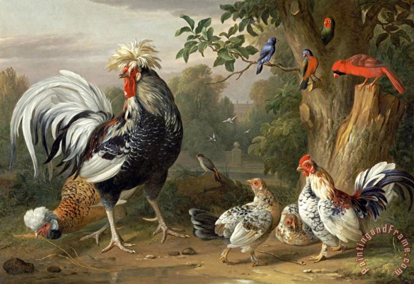 Poultry And Other Birds in The Garden of a Mansion painting - Jakob Bogdany Poultry And Other Birds in The Garden of a Mansion Art Print
