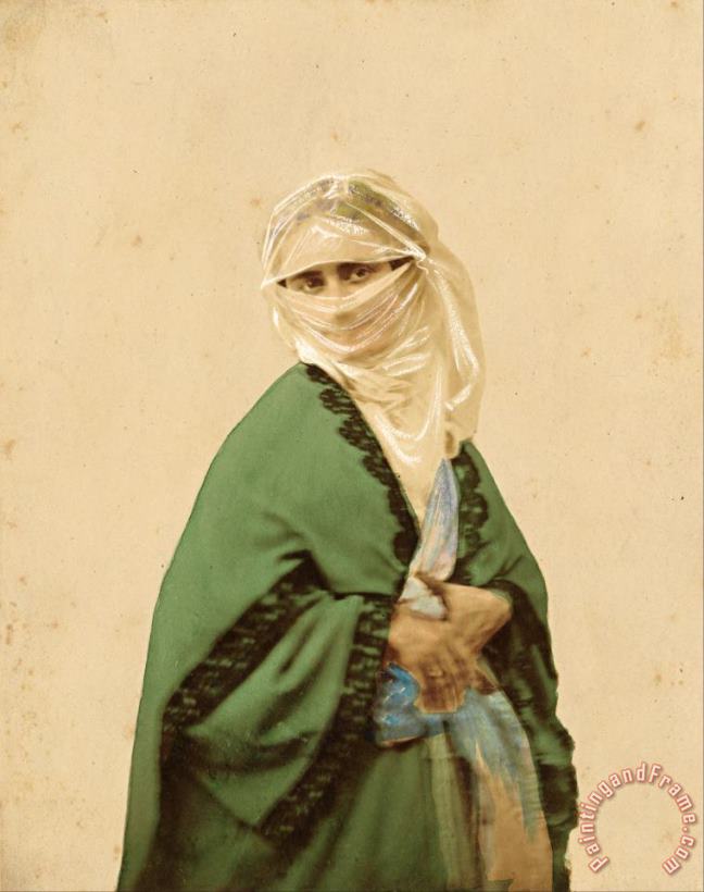 A Turkish Woman in Outdoor Dress painting - James Robertson  A Turkish Woman in Outdoor Dress Art Print