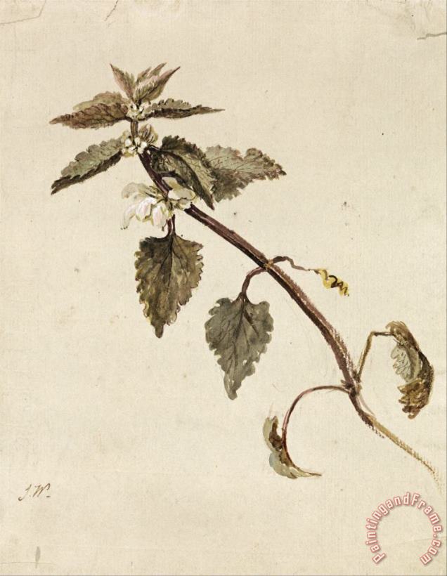 A Foliated Branch painting - James Ward A Foliated Branch Art Print
