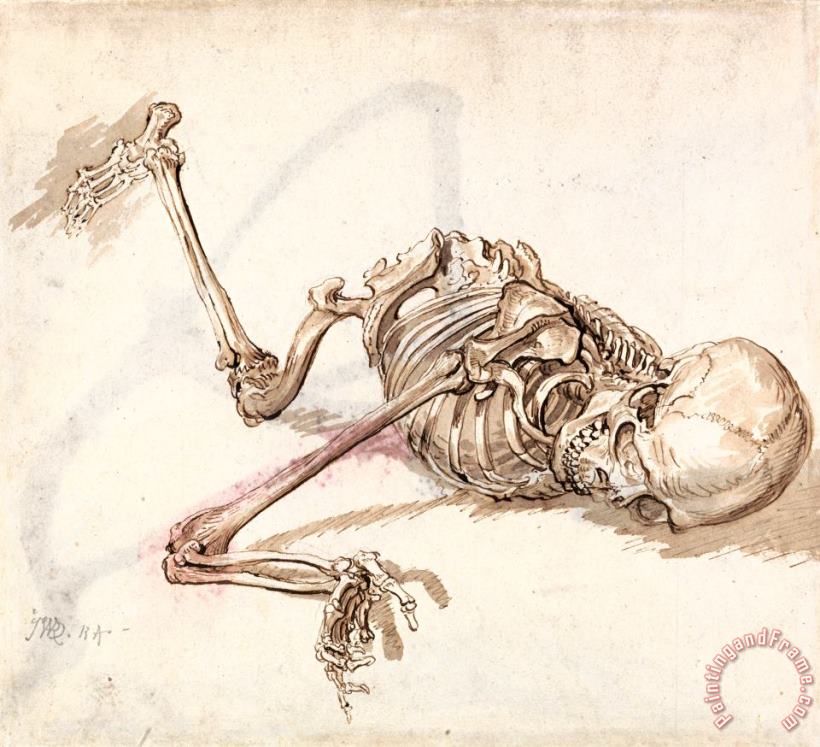 A Human Skeleton 2 painting - James Ward A Human Skeleton 2 Art Print