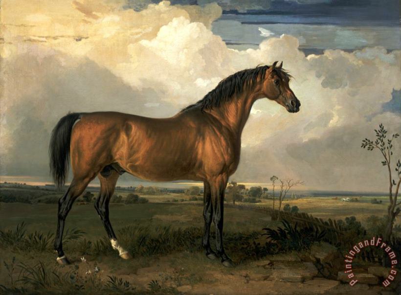 Eagle, a Celebrated Stallion painting - James Ward Eagle, a Celebrated Stallion Art Print