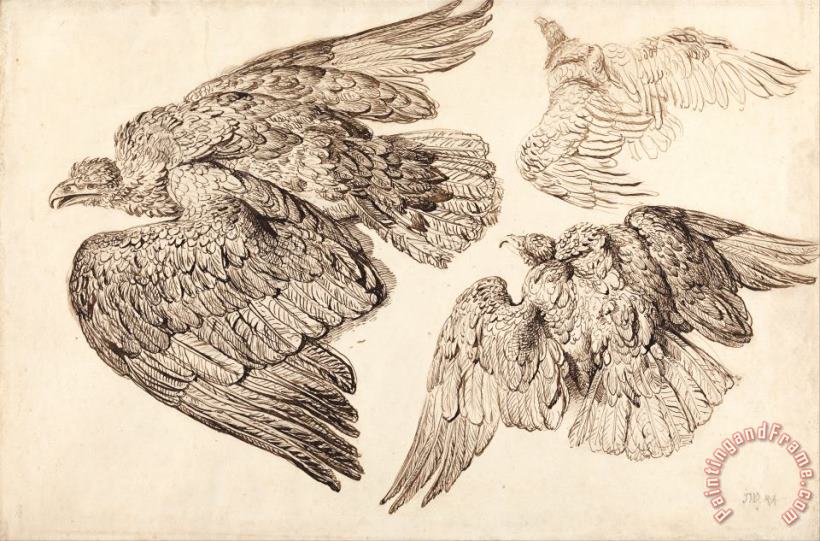 James Ward Eagles Art Print