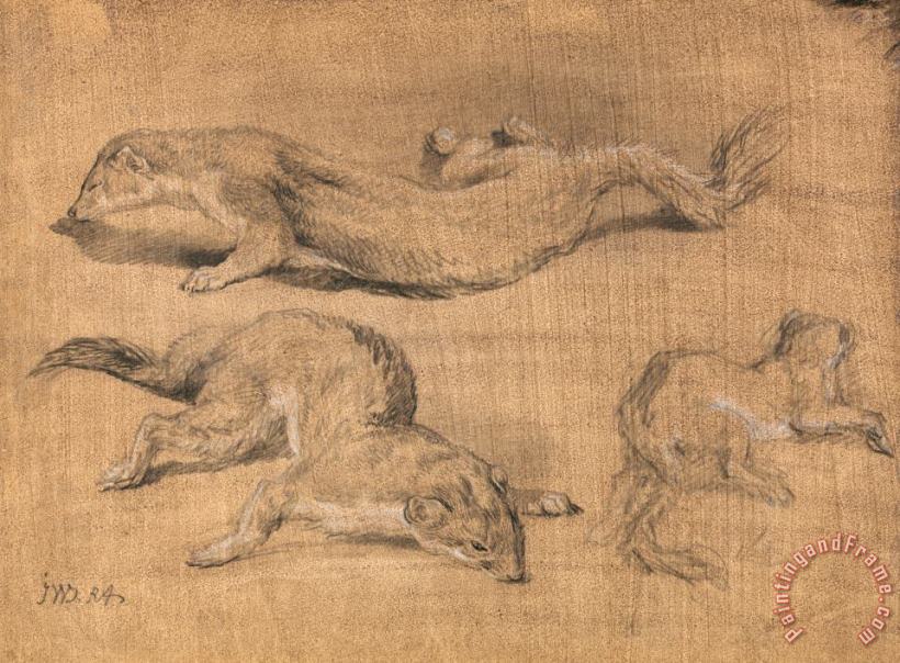 Ferrets painting - James Ward Ferrets Art Print