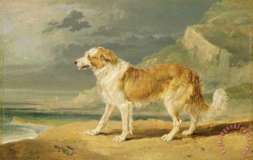 Rough-coated Collie painting - James Ward Rough-coated Collie Art Print