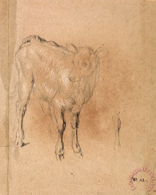 Study of a Calf painting - James Ward Study of a Calf Art Print