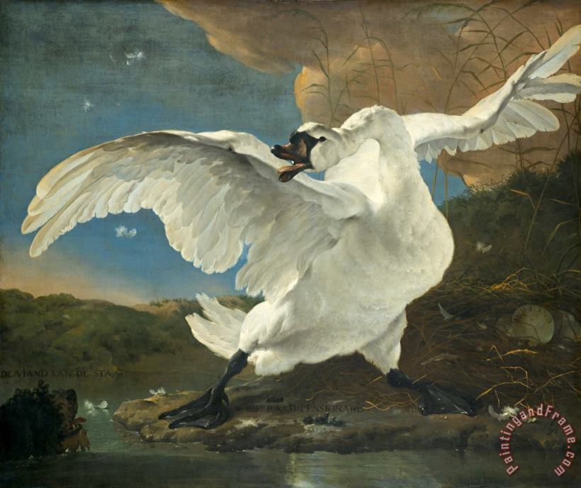 The Threatened Swan painting - Jan Asselyn The Threatened Swan Art Print