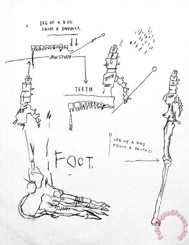 Jean-michel Basquiat Leg of a Dog, From Da Vinci, 1983 Art Print