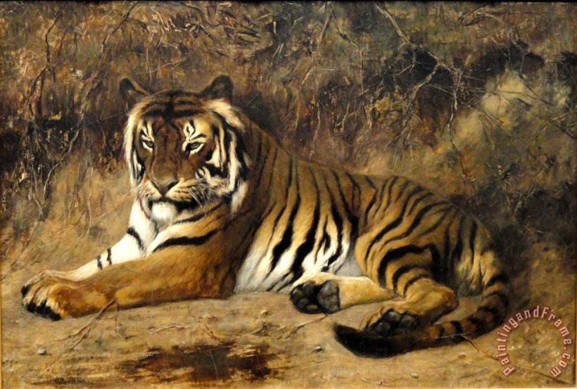 Tiger Springfield Ma painting - Jean Leon Gerome Tiger Springfield Ma Art Print