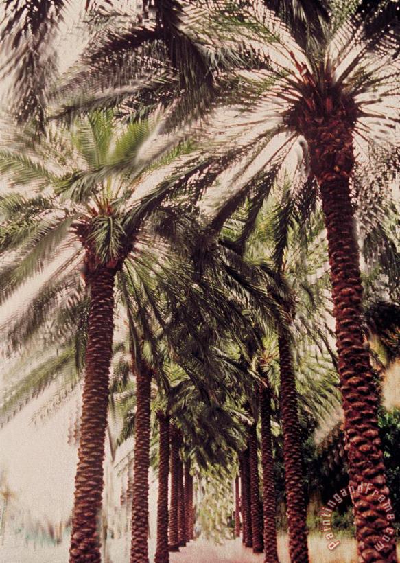 Jeanette Korab Palmtree Art Painting