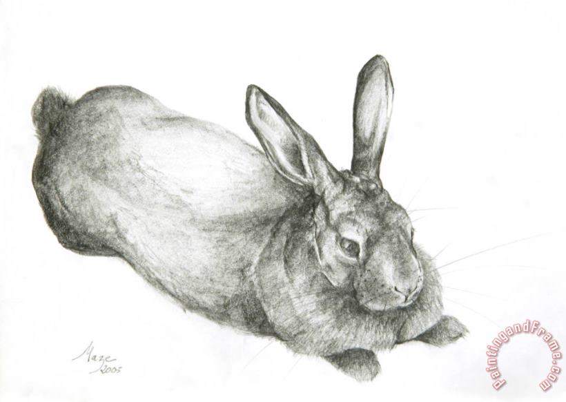 Jeanne Maze Rabbit Art Print
