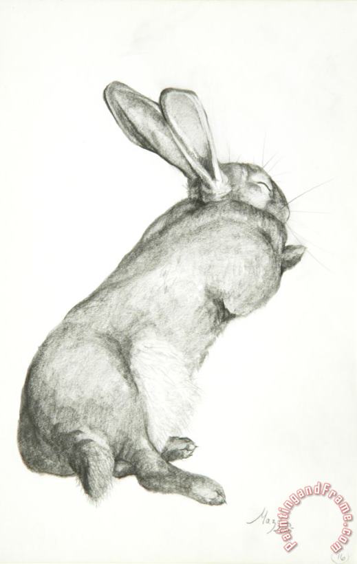 Jeanne Maze Rabbit Sleeping Art Painting