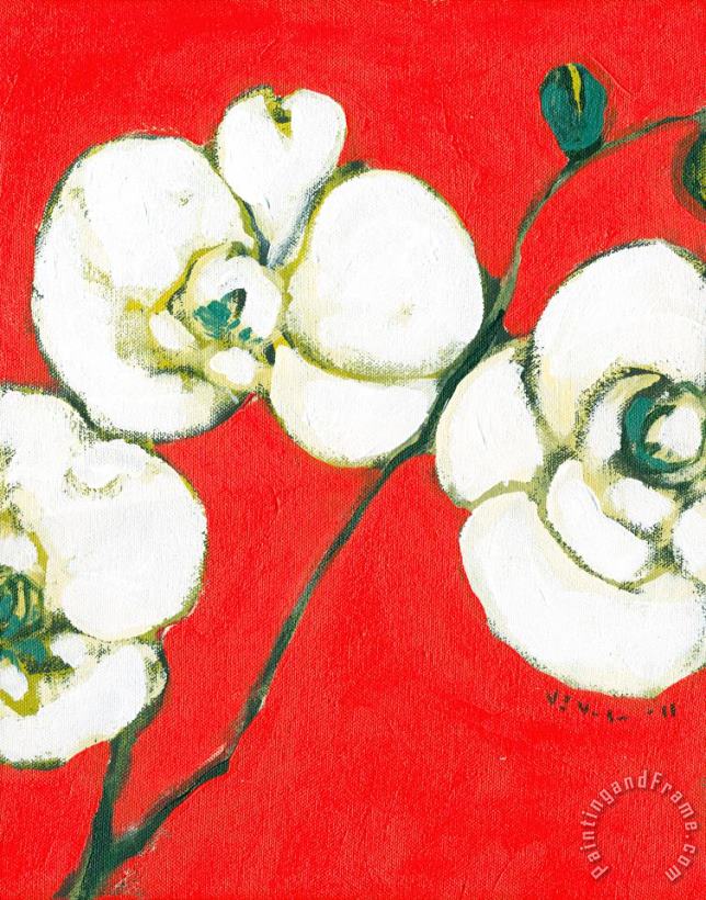White Orchid painting - Jennifer Lommers White Orchid Art Print