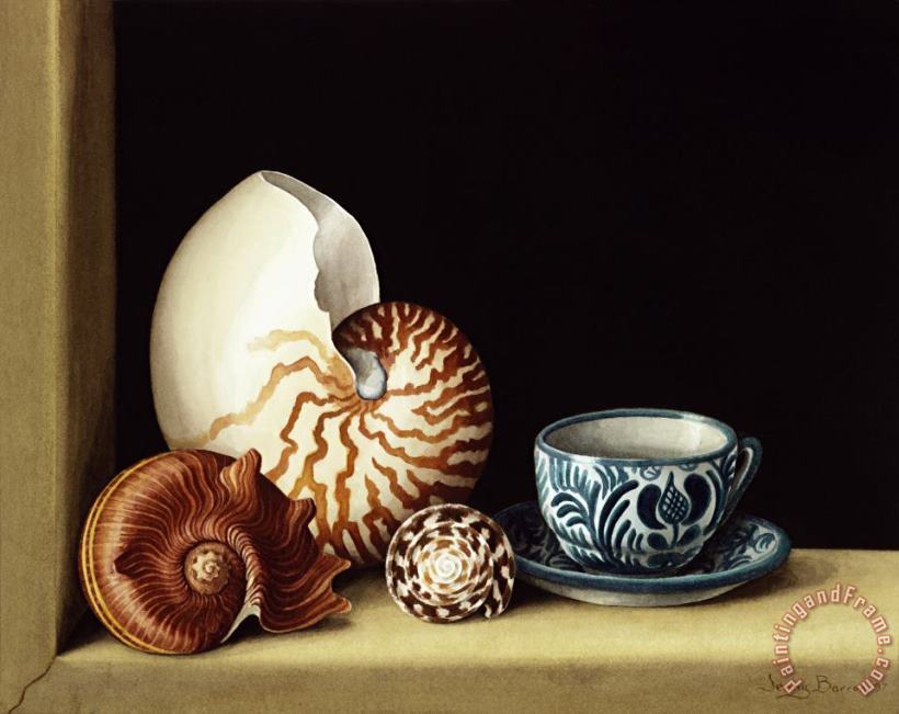 Still Life With Nautilus painting - Jenny Barron Still Life With Nautilus Art Print