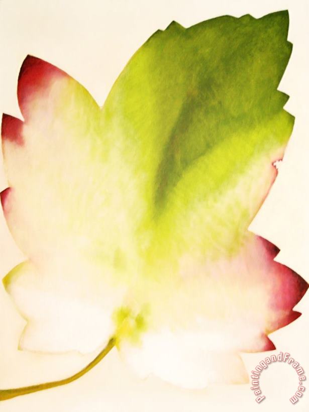 Jerome Lawrence Spring Leaf Art Print