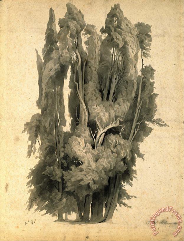 Johann Wilhelm Schirmer Cypresses in The Park at Villa D'este in Tivoli Art Print