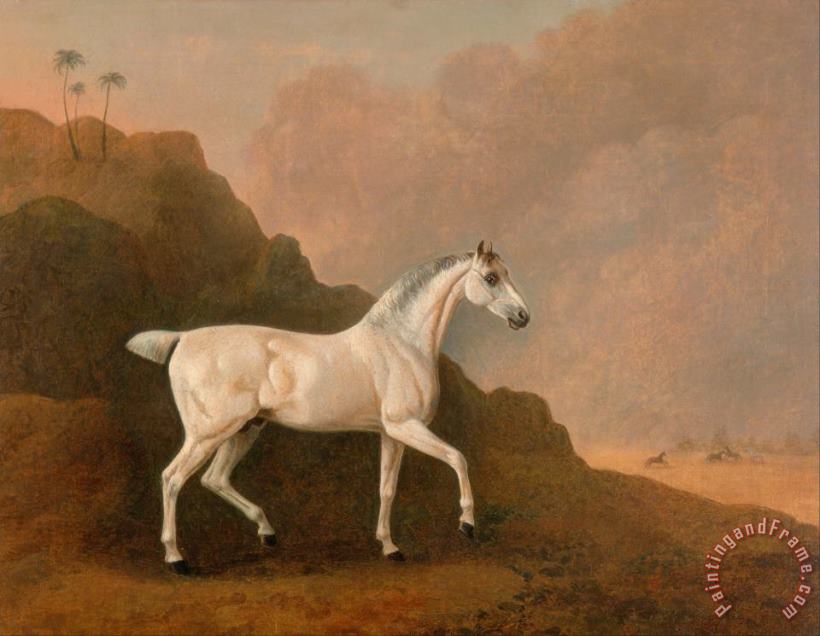 A Grey Arab Stallion in a Desert Landscape painting - John Boultbee A Grey Arab Stallion in a Desert Landscape Art Print