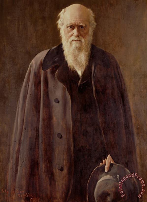 Portrait Of Charles Darwin painting - John Collier Portrait Of Charles Darwin Art Print