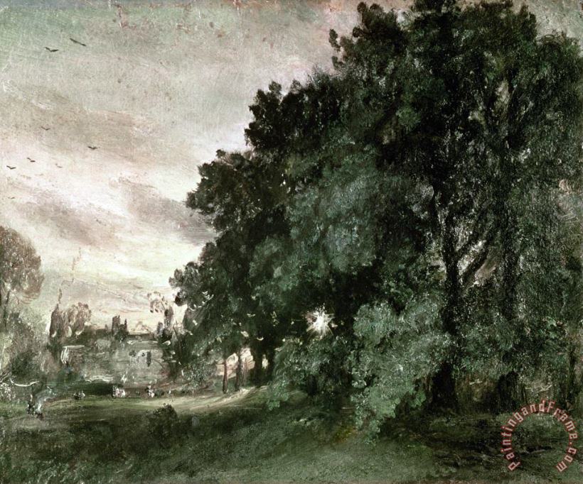 Study of Trees painting - John Constable Study of Trees Art Print
