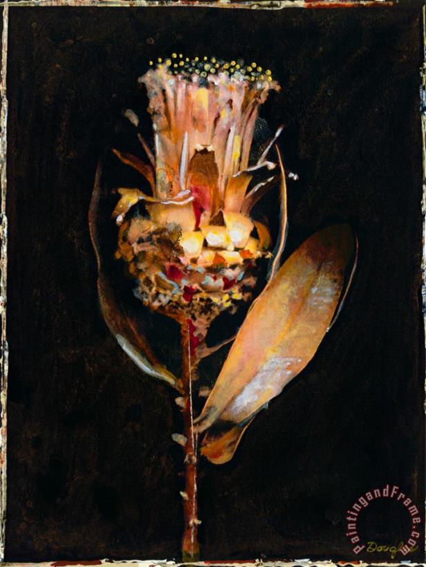 John Douglas Floral Negative V Art Print