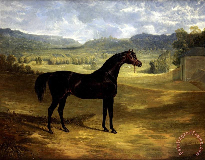 John Frederick Herring Jack Spigot, a Dark Bay Racehorse in a Paddock at Bolton Hall Art Print