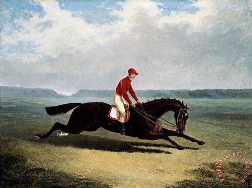 The Baron with Bumpy Up, at Newmarket painting - John Frederick Herring The Baron with Bumpy Up, at Newmarket Art Print