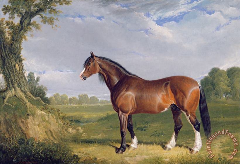 John Frederick Herring Snr A Clydesdale Stallion Art Painting