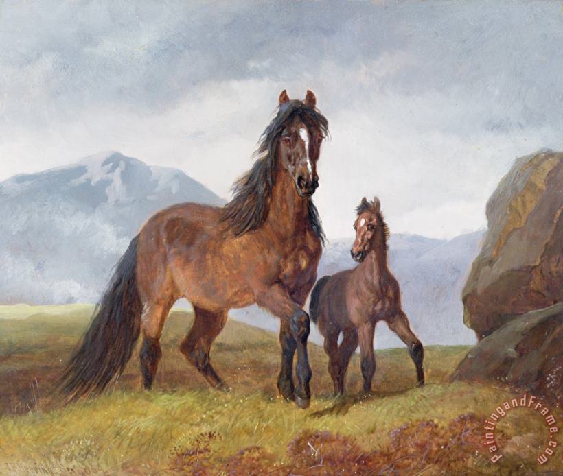 John Frederick Herring Snr A Welsh Mountain Mare and Foal Art Print