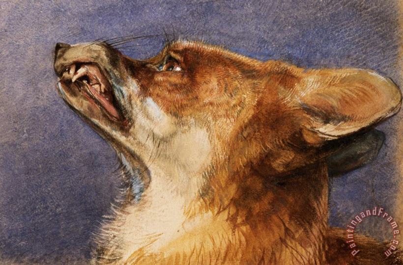 John Frederick Lewis Head of a Fox Art Painting