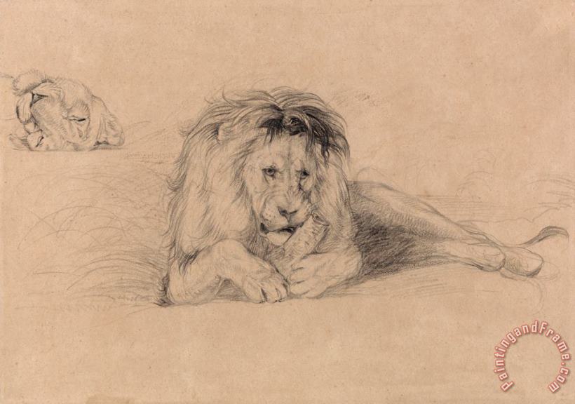John Frederick Lewis Study of a Lion And Study of a Lioness' Head Art Print