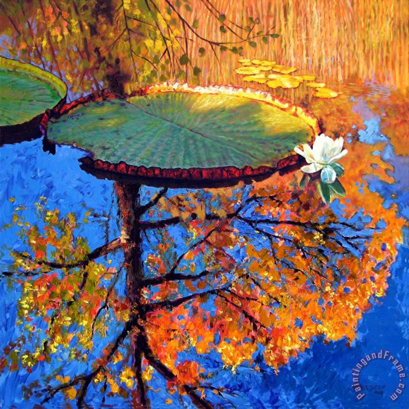 Colors of Fall on the Lily Pond painting - John Lautermilch Colors of Fall on the Lily Pond Art Print