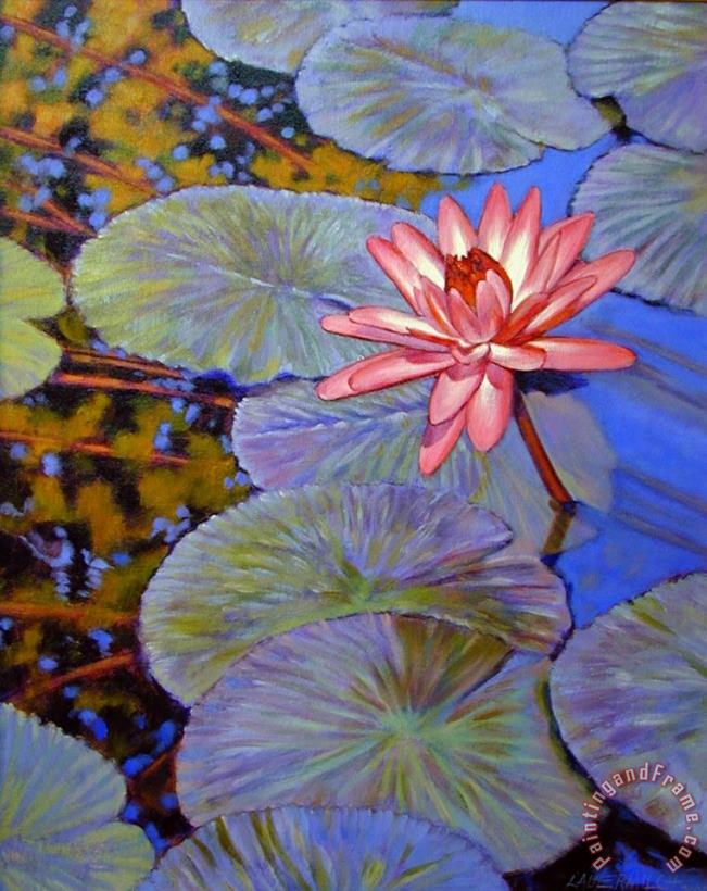 Pink Lily with Silver Pads painting - John Lautermilch Pink Lily with Silver Pads Art Print