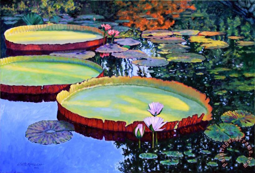 John Lautermilch Sunspots on Lily Pond Art Print